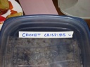 thumbnail of "Cricket Crispies Label"