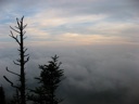 thumbnail of "Distant Fog"