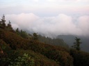 thumbnail of "Foggy Mountains"