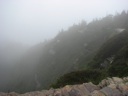 thumbnail of "Foggy View From Cliff Top - 1"