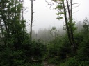 thumbnail of "Foggy View From Cliff Top - 3"