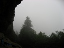 thumbnail of "Misty Alum Cave Bluffs"