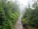 thumbnail of "Misty Alum Cave Trail - 1"