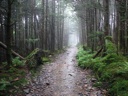 thumbnail of "Misty Alum Cave Trail - 11"