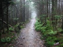 thumbnail of "Misty Alum Cave Trail - 12"