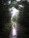 thumbnail of "Misty Alum Cave Trail - 13"