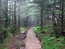 thumbnail of "Misty Alum Cave Trail - 14"