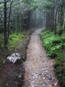 thumbnail of "Misty Alum Cave Trail - 15"