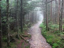 thumbnail of "Misty Alum Cave Trail - 17"