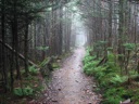 thumbnail of "Misty Alum Cave Trail - 18"