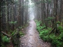 thumbnail of "Misty Alum Cave Trail - 19"