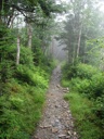 thumbnail of "Misty Alum Cave Trail - 2"