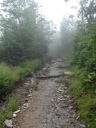 thumbnail of "Misty Alum Cave Trail - 20"