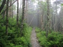 thumbnail of "Misty Alum Cave Trail - 3"