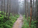 thumbnail of "Misty Alum Cave Trail - 6"