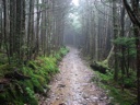 thumbnail of "Misty Alum Cave Trail - 7"