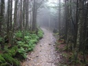 thumbnail of "Misty Alum Cave Trail - 8"