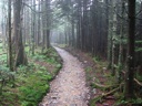 thumbnail of "Misty Alum Cave Trail - 9"