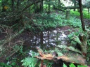 thumbnail of "Puddle Off Cliff Top Trail"