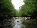 thumbnail of "River Swimming Hole - 4"