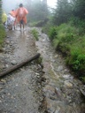 thumbnail of "Wet Alum Cave Bluffs Trail - 4"