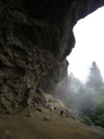 thumbnail of "Wet And Foggy Alum Cave Bluffs - 4"