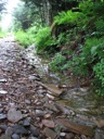 thumbnail of "Wet Trail - 1"
