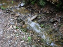 thumbnail of "Wet Trail - 2"