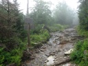 thumbnail of "Wet Trail - 5"