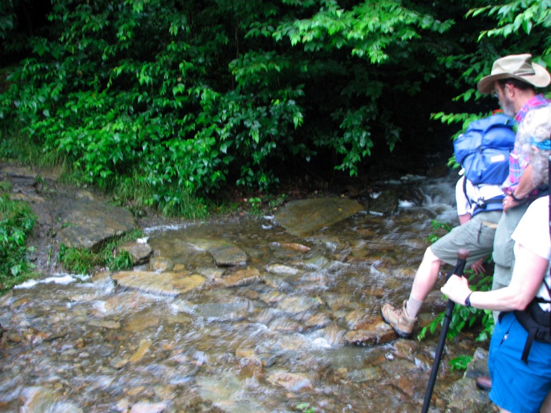 Crossing A Stream On The Alum Cave Trail - 1