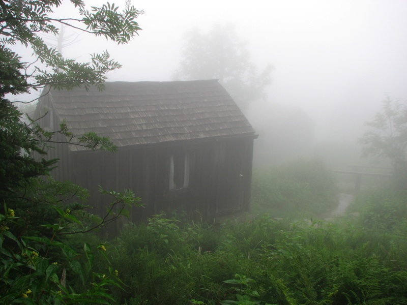 First Lodge Cabin In The Fog