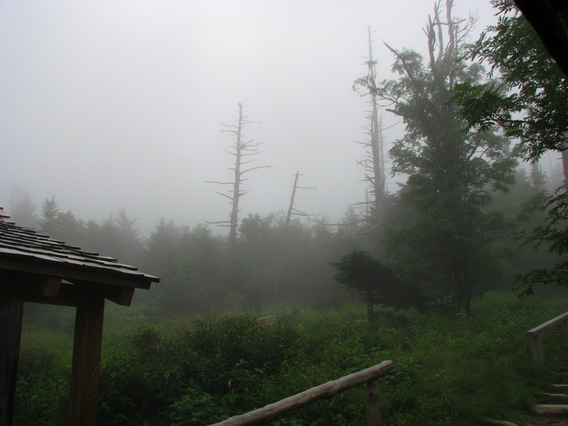 Fog Over The Cabins