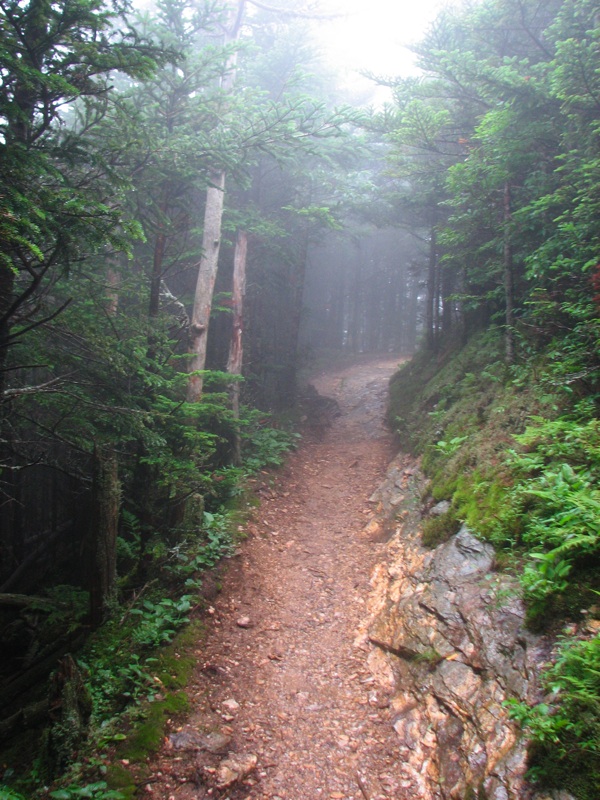 Misty Trail - 12