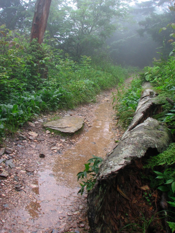 Nearing The End Of The Alum Cave Trail - 03