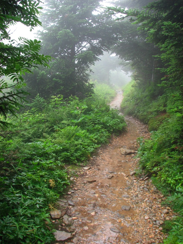 Nearing The End Of The Alum Cave Trail - 05