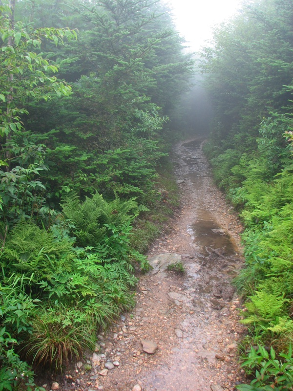 Nearing The End Of The Alum Cave Trail - 12