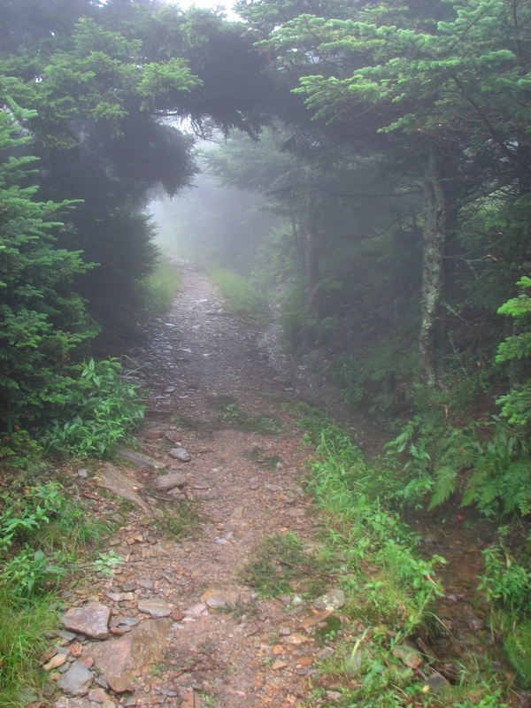 Nearing The End Of The Alum Cave Trail - 39