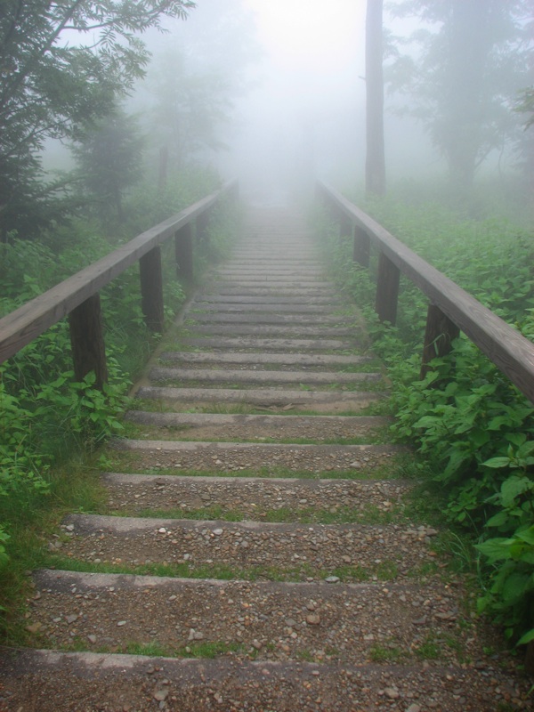 Steps To The Lodge