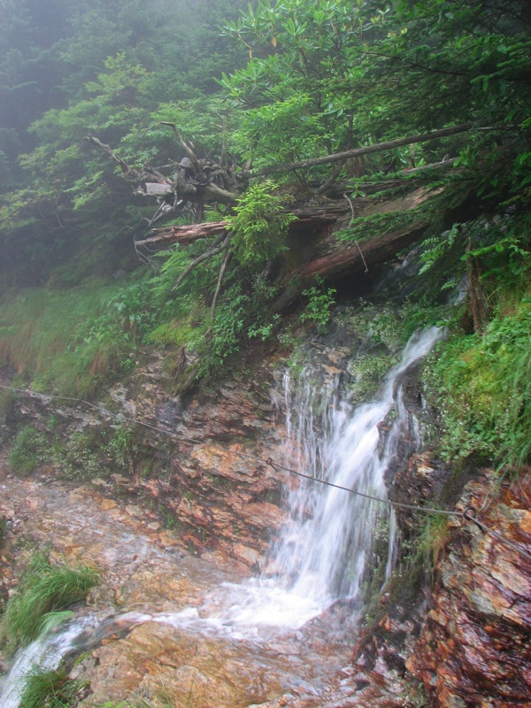 Stream Crossing Trail - 1