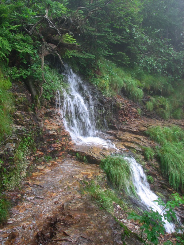 Stream Crossing Trail - 2