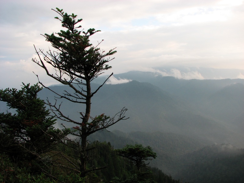 View From Cliff Top - 2