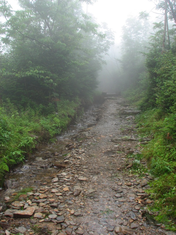 Water By The Trail - 2