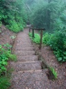 thumbnail of "Misty Steps"