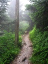 thumbnail of "Misty Trail - 05"