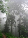 thumbnail of "Misty View From The Alum Cave Trail - 01"