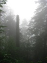 thumbnail of "Misty View From The Alum Cave Trail - 03"