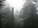 thumbnail of "Misty View From The Alum Cave Trail - 04"