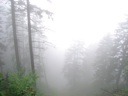 thumbnail of "Misty View From The Alum Cave Trail - 07"