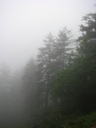 thumbnail of "Misty View From The Alum Cave Trail - 08"