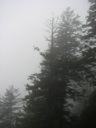 thumbnail of "Misty View From The Alum Cave Trail - 09"